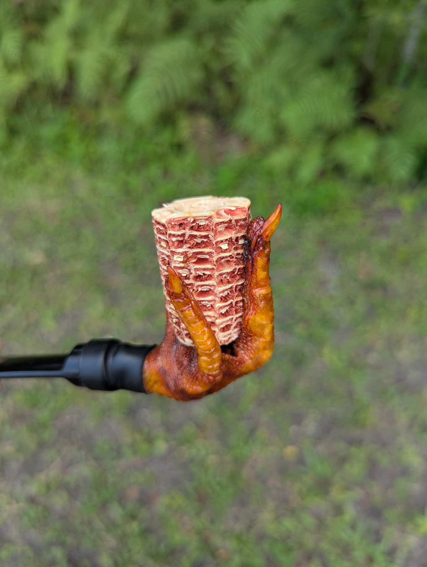 Close-up of the corncob bowl held in the preserved chicken foot talons
